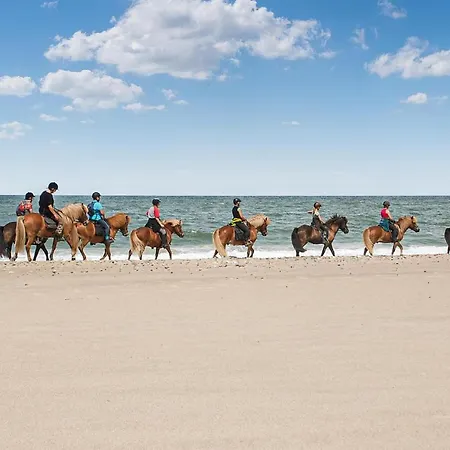 Cozy In With Wifi * Hanstholm